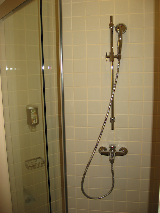 Ibis Singapore Hotel Room Shower